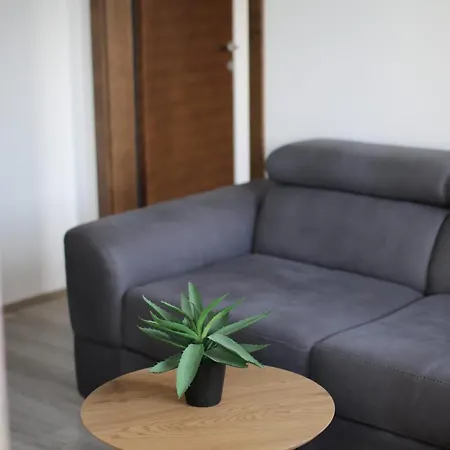 Gray 82 * Jagodina