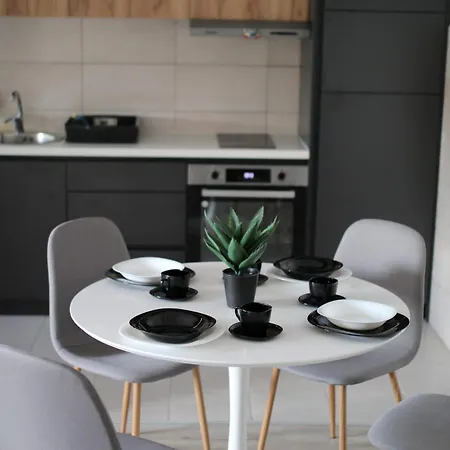 Gray 82 * Jagodina