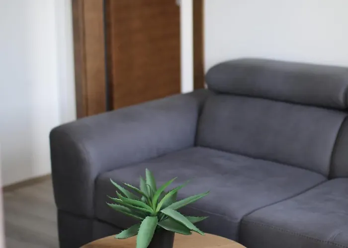 Gray 82 * 雅戈丁那